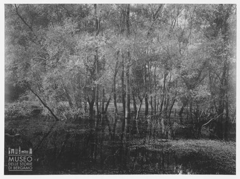 Una veduta del Parco della Valle del Ticino ad Abbiategrasso