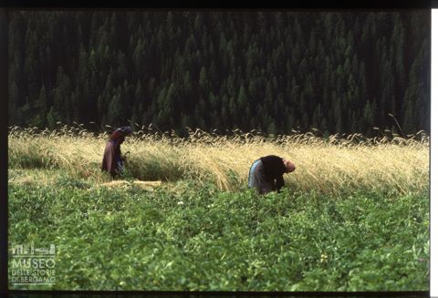 Lavori agricoli in Val di Funes