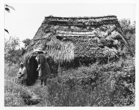 Una casa con tetto in paglia a Norma