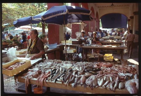 Il mercato coperto del pesce in piazza Andrea Costa a Fano