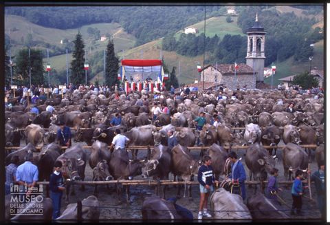 Fiera bovina zootecnica a Serina