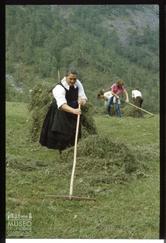 Fienagione in Valle Antrona
