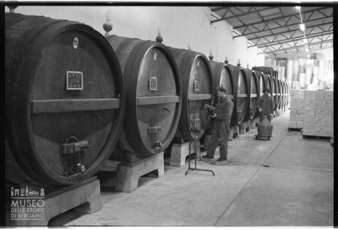 Una fase del controllo in un'azienda vinicola