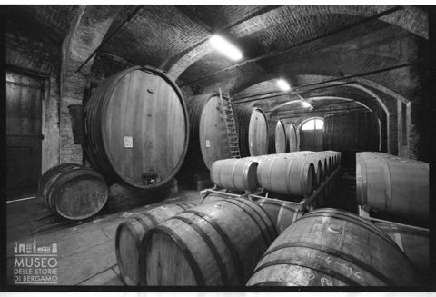 Botti nella tenuta dei Marchesi di Barolo