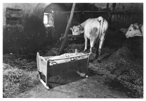 Culla in una stalla a Boves