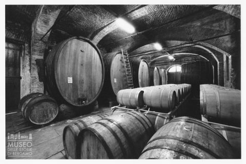 Botti nella tenuta dei Marchesi di Barolo a Barolo