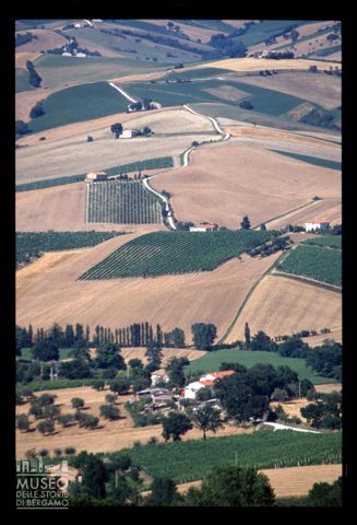 Le colline coltivate di Montecarotto