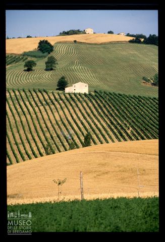 Le colline coltivate di Verucchio