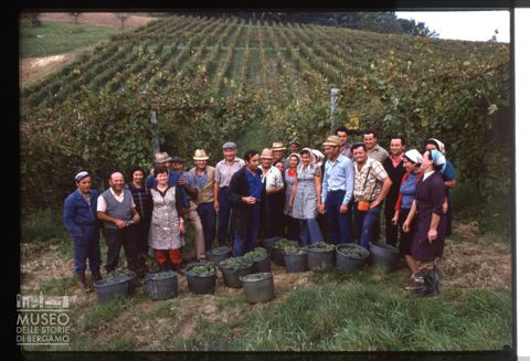 Vendemmiatori a Cupramontana
