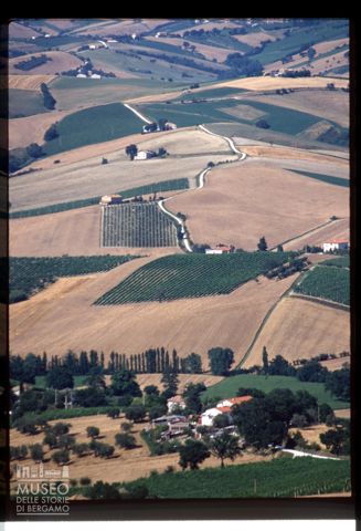 Le colline coltivate di Montecarotto