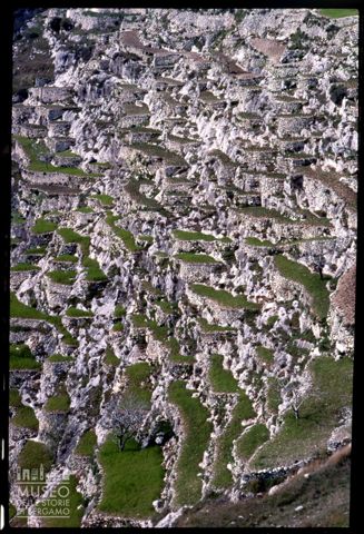 Terrazzamenti nei pressi di Monte Sant'Angelo