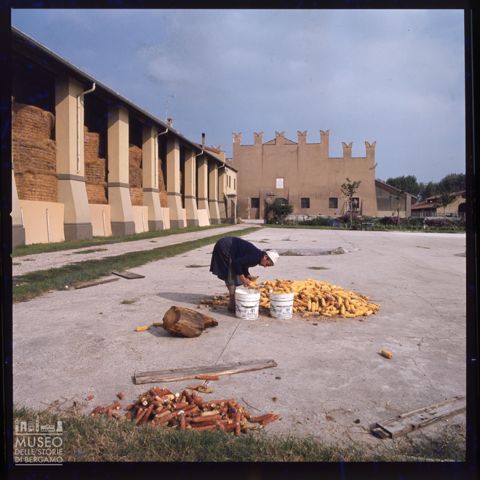 Scena di vita contadina alla Corte Virgiliana