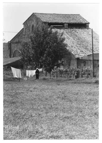 Scena di vita quotidiana nella campagna rovigotta