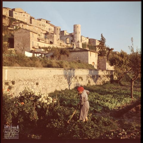 Lavori agresti alle porte di Spello