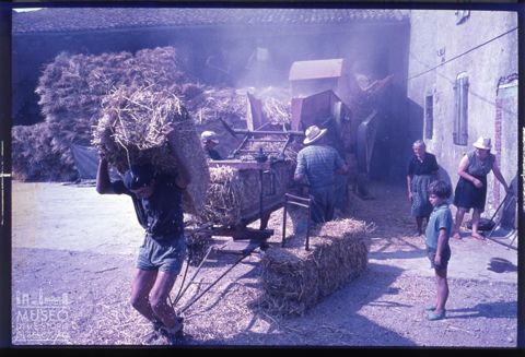 Scena di vita contadina a Cividate al Piano