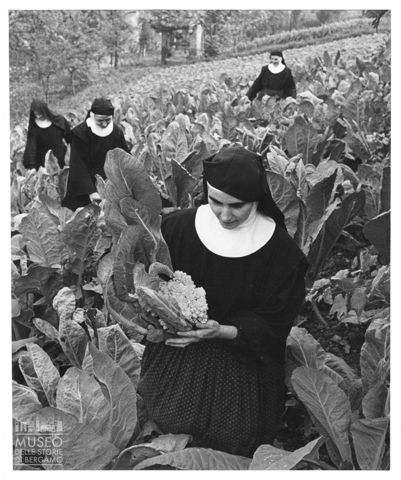 Nell'orto del monastero di San Benedetto a Bergamo