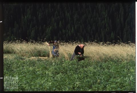 Scena di vita contadina a Livinallongo