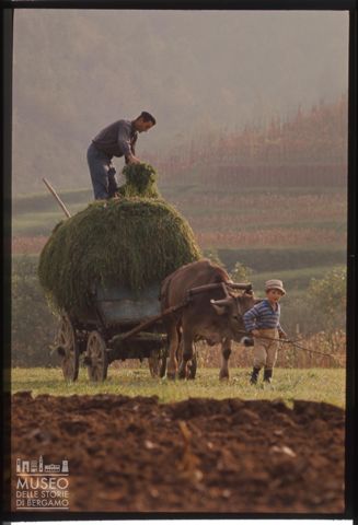 Contadini al lavoro nei campi di Somasca