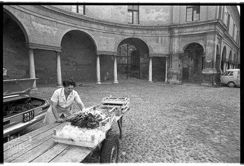 Il mercato della verdura in piazza Castello a Mantova