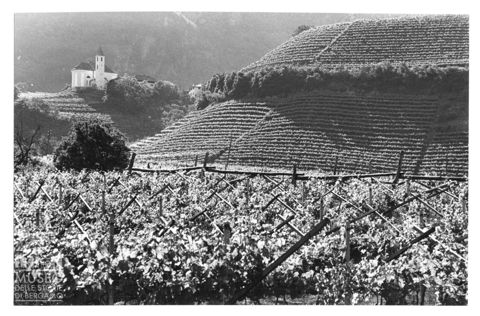 Caldaro sulla Strada del Vino