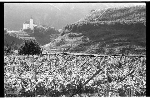 Caldaro sulla Strada del Vino