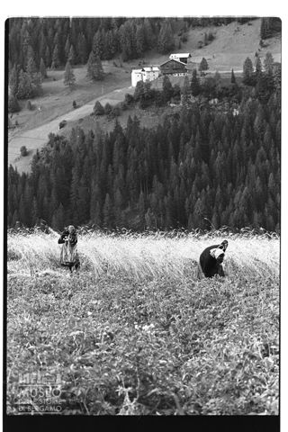 Nei pressi di Livinallongo del Col di Lana