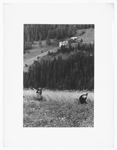 Nei pressi di Livinallongo del Col di Lana