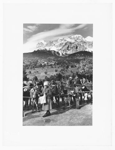 La fiera del bestiame a Cortina d'Ampezzo