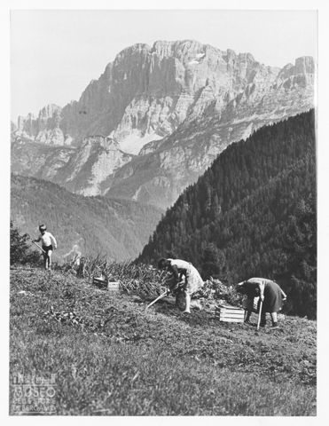 Lavorazione di un orto a Sappada