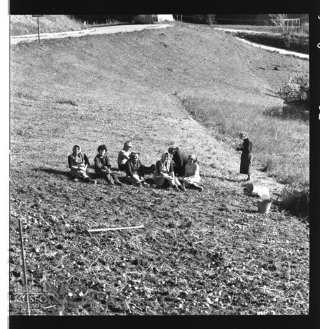 Contadini in un campo ad Auronzo