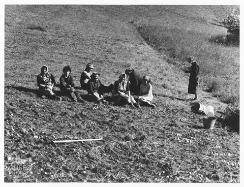 Contadini in un campo ad Auronzo