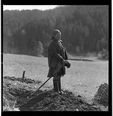 Contadina in un campo di Sappada