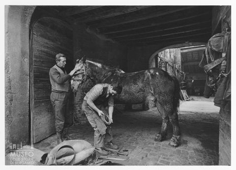 Ferratura degli zoccoli di un cavallo presso la bottega 