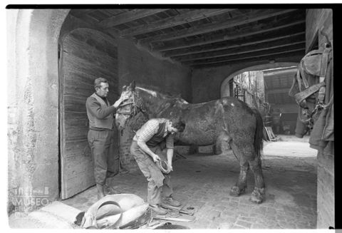 Ferratura degli zoccoli di un cavallo presso la bottega 