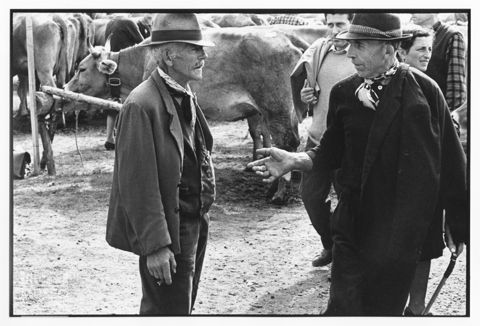 Partecipanti alla Fiera Bovina Zootecnica di Serina