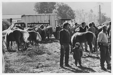 Cavalli e avventori alla fiera agricola di Carenno