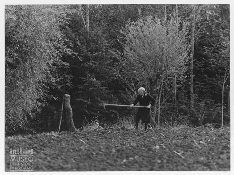 Lavori agresti in Val San Martino