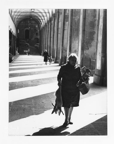 Scena di vita quotidiana ad Arezzo