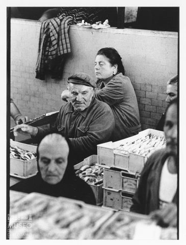 Asta al mercato ittico di Civitanova Marche