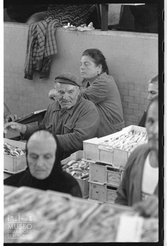 Asta al Mercato Ittico di Civitanova Marche