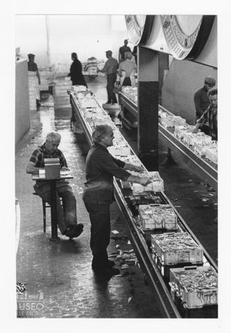Il mercato ittico di Civitanova Marche