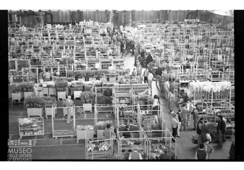 Il mercato dei fiori di Pescia