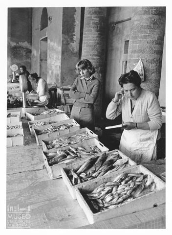 Il mercato del pesce all'interno del Foro Annonario di Senigallia
