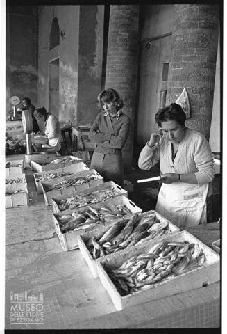 Il mercato del pesce all'interno del Foro Annonario di Senigallia