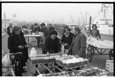 Vendita del pesce fresco a San Benedetto del Tronto