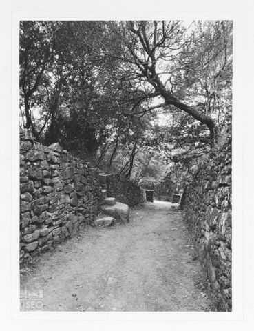 L'ingresso della Tomba della Pietrera nell'area archelogica di Vetulonia
