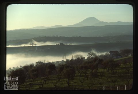 Paesaggio agreste nei pressi di Arcevia