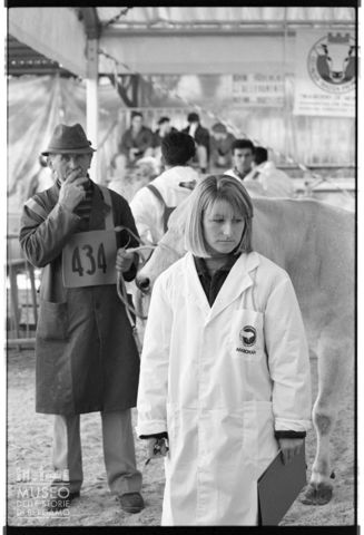 La fiera del bestiame di Cuneo