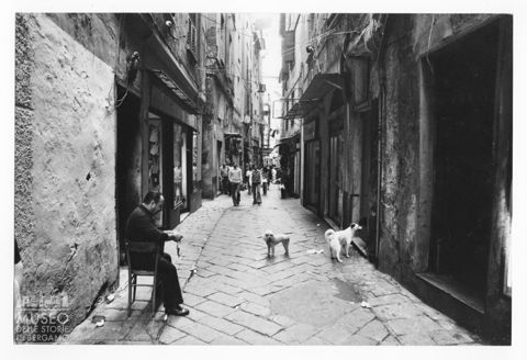 Scorcio di Genova