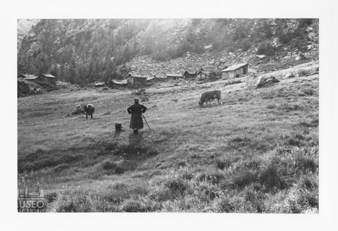 Scena di vita contadine in un alpeggio in Valtellina